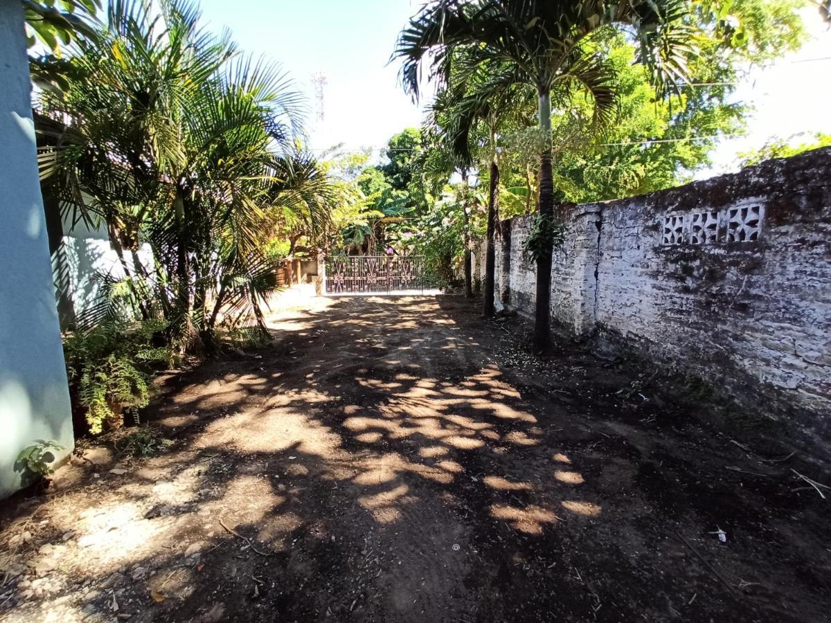 모요갈파 Ometepe House B&B 외부 사진